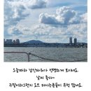한강여행사 | 서울 한강버스 타고 힐링 후기🍍