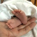 VIP산후조리원 이미지