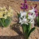 소풍농장 이미지