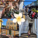 국제쇼핑타운상가 | 태국 푸켓여행] 푸켓 올드타운, 중국과 유럽의 양식이 혼합된 시노-포르투갈(Sino-Portuguese) 건축물들...