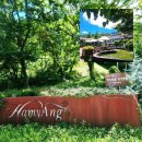 2025년10월01일 (수) 거창 감악산 아스타국화.함양 하미앙 산머루 와인터널.상림공원 이미지