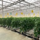 수경축산 이미지