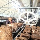 조남규농장 이미지