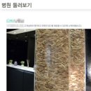 탑성형외과 헬스조선
