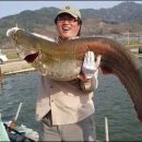 임페리얼모텔 이미지