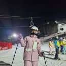 타타타 | 알펜시아렌탈·용평스키렌탈 고민 끝! 26시즌 새장비 타타타렌탈샵 후기(장비 의류 렌탈 및 스키강습)