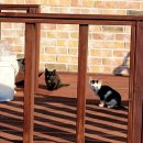 우럭한마리 이미지