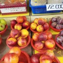 대지상회 이미지