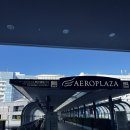 여행영어(주간) | 일본일상 20251122-20251125(생일 기념 상하이 여행 1편[상하이/항저우],일본 유학생 주간 일상)