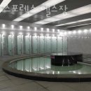 에프스포렉스 이미지