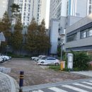 발리왁싱&스킨