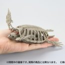 모델링클럽 이미지