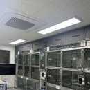 수 동물병원 이미지