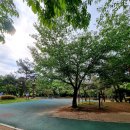 첨단응암공원 앞 이미지