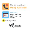 진동물병원 | [제주 동물병원 수술 후기] 강아지 회음부 탈장 수술로 배변 문제 해결