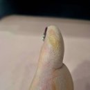 동성프라자 | C본네일 동성제약 풀리메디 문제성 발관리 받고 엄마랑 재방문 후기