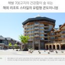 배스킨라빈스 알펜시아점