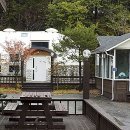 숲속의 이글루 이미지