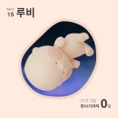 이동하라 | 서울아산병원 제왕절개 출산 3박 4일 입원 후기(1)