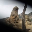 동산계곡 주차장 이미지