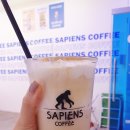 커피사피엔스 등촌 데시앙플렉스점 이미지