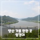 임경대 | 양산 가볼 만한 곳, 임경대 후기 - 낙동강 조망이 멋진 산책 명소