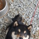 자연농장 이미지