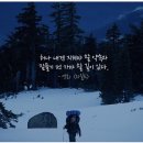 삶을 찾는 극한 고독의 여정 - 와일드 이미지