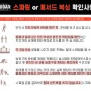 슈가복싱 이미지