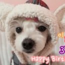 이슬여사