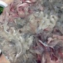 신마산회집
