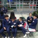 새암체육관 이미지