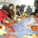 옹달샘꽃누름마을 이미지