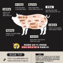 판교돈 - 성남시 분당구 황새울로 325 | 판교돈