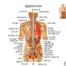 남평공조 | 송자(宋慈)의 세원집록(洗冤集錄)
