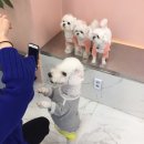 헬로로지