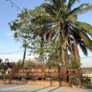 용지수상(물빛광장) | 파타야 플로팅 마켓 완벽 가이드: 입장료, 먹거리, 보트 체험 꿀팁