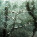 사진마을 이미지