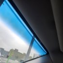 369스팀세차 | 대구동구 효목동 수성구 썬팅 내돈내산후기