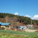 진재골식당