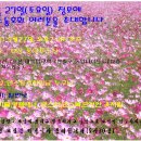 동양 무도장 이미지