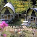 힐링캠프제이앤엘 티스토리