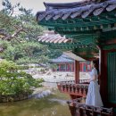 시간여행자 이미지