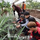 과일나라테마공원1 이미지