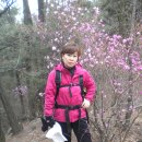 제주청년회 이미지