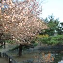 여의도공원 3번출입구 앞 이미지