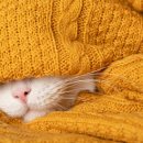 (주)제이오 이미지