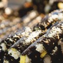 김밥옆구리 이미지