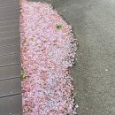 망부석