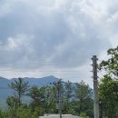 캠프원 관광농원 이미지